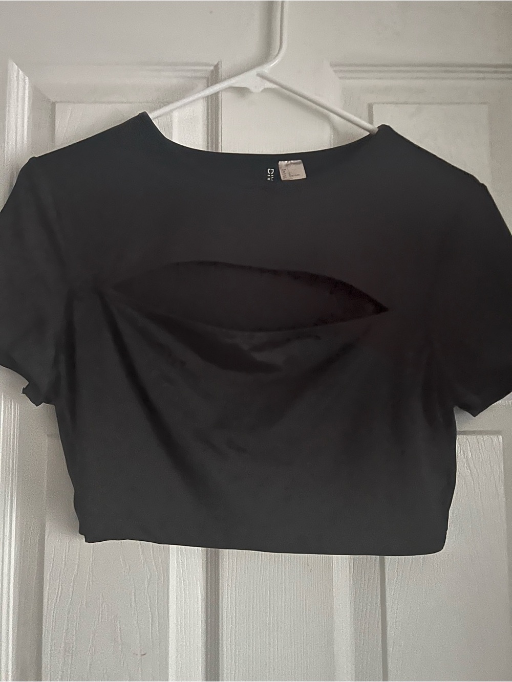 Divided Black Front-Cut Crop Tee